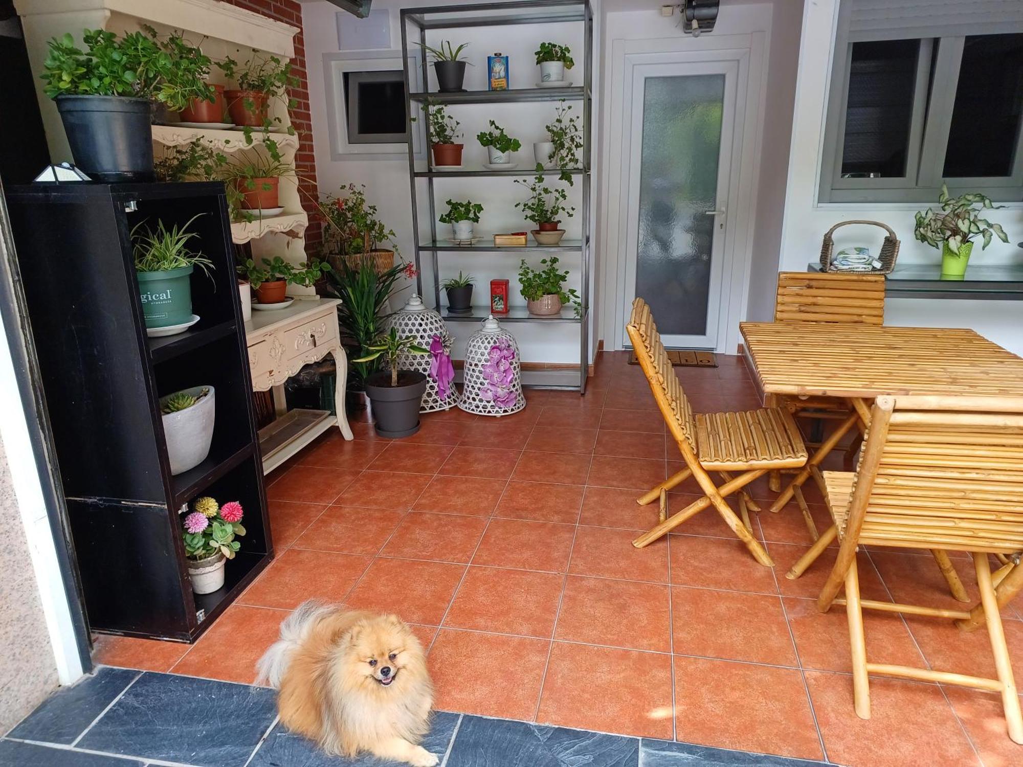 Casa Raposeira Holiday home