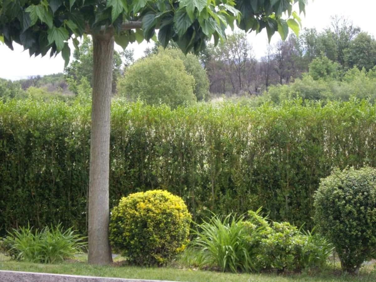 Casa Raposeira Holiday home